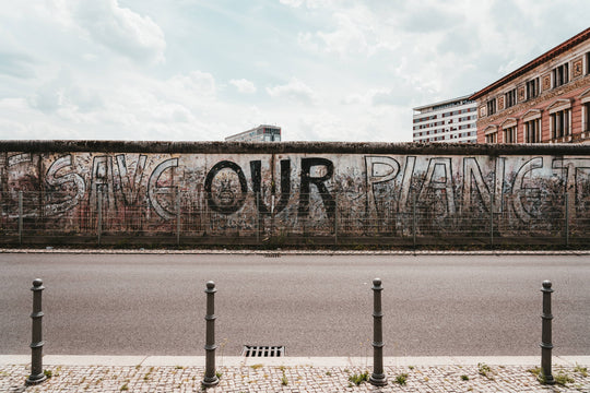 8 Ways To Get Involved This Earth Day 2019